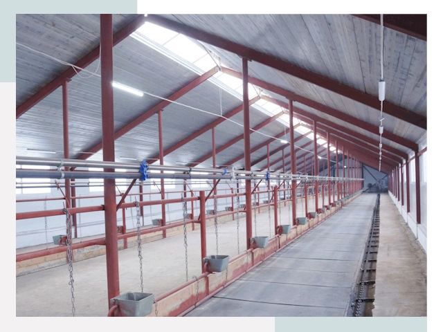 Строительство коровников в Скопине от 625 руб.