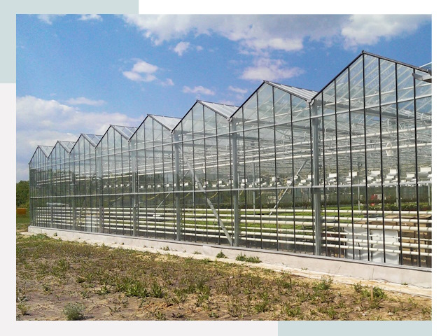 Строительство теплиц в Скопин от 625 руб. за м²