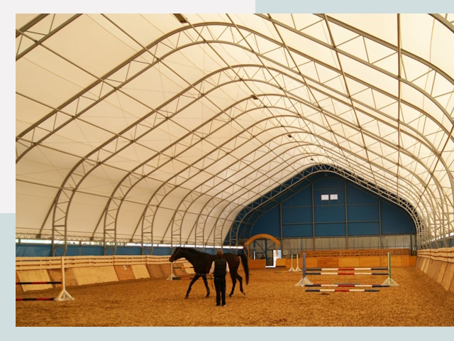 Строительство конных манежей в Скопине